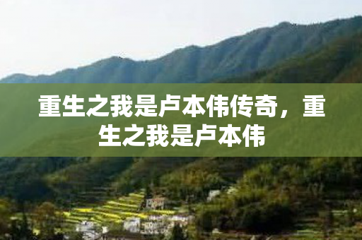 重生之我是卢本伟传奇,重生之我是卢本伟 重生之我是卢本伟传奇,重生之我是卢本伟