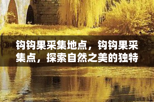 钩钩果采集地点,钩钩果采集点,探索自然之美的独特方式 钩钩果采集地点,钩钩果采集点,探索自然之美的独特方式