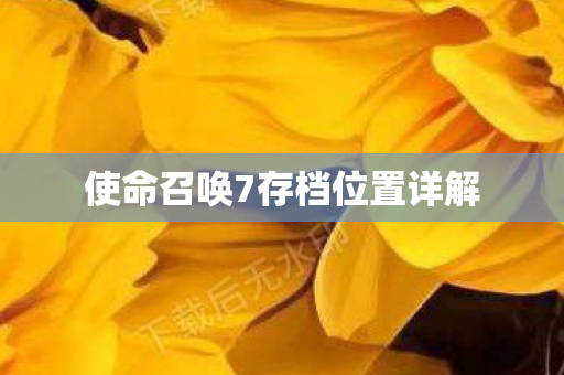 使命召唤7存档位置详解 使命召唤7存档位置详解