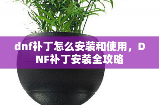 dnf补丁怎么安装和使用，DNF补丁安装全攻略