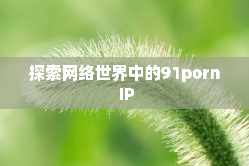 探索网络世界中的91porn IP 探索网络世界中的91porn IP
