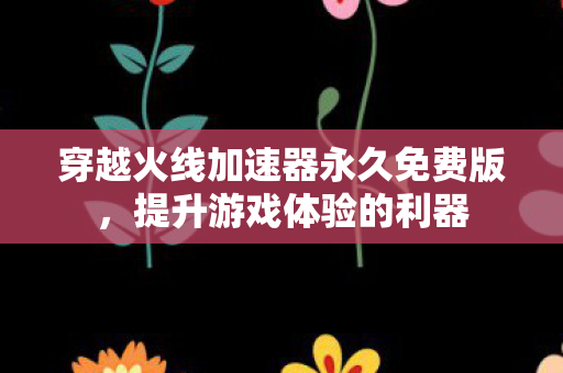 穿越火线加速器永久免费版,提升游戏体验的利器 穿越火线加速器永久免费版,提升游戏体验的利器