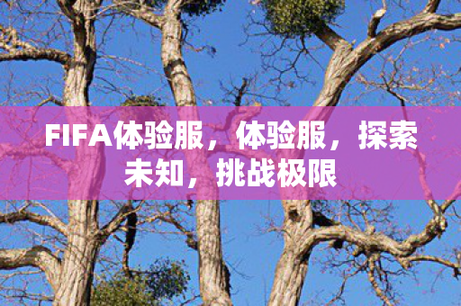 FIFA体验服,体验服,探索未知,挑战极限 FIFA体验服,体验服,探索未知,挑战极限