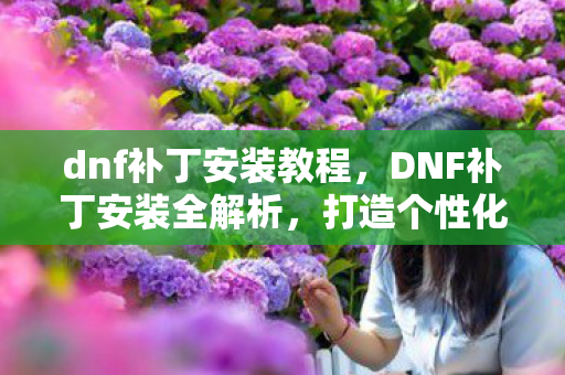 dnf补丁安装教程,DNF补丁安装全解析,打造个性化游戏体验 dnf补丁安装教程,DNF补丁安装全解析,打造个性化游戏体验