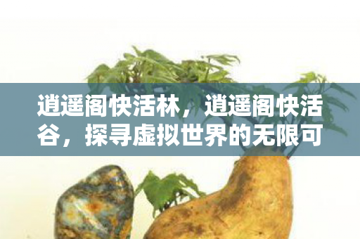 逍遥阁快活林,逍遥阁快活谷,探寻虚拟世界的无限可能 逍遥阁快活林,逍遥阁快活谷,探寻虚拟世界的无限可能