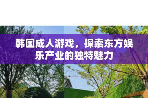 韩国成人游戏,探索东方娱乐产业的独特魅力 韩国成人游戏,探索东方娱乐产业的独特魅力
