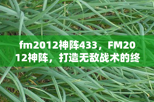 fm2012神阵433,FM2012神阵,打造无敌战术的终极指南 fm2012神阵433,FM2012神阵,打造无敌战术的终极指南