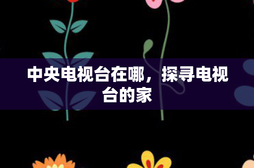 中央电视台在哪，探寻电视台的家