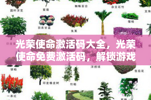光荣使命激活码大全,光荣使命免费激活码,解锁游戏新世界的钥匙 光荣使命激活码大全,光荣使命免费激活码,解锁游戏新世界的钥匙