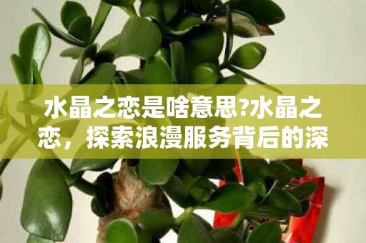 水晶之恋是啥意思?水晶之恋,探索浪漫服务背后的深意 水晶之恋是啥意思?水晶之恋,探索浪漫服务背后的深意