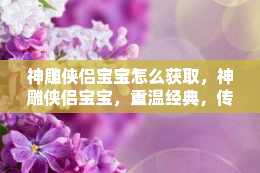 神雕侠侣宝宝怎么获取,神雕侠侣宝宝,重温经典,传承武侠之魂 神雕侠侣宝宝怎么获取,神雕侠侣宝宝,重温经典,传承武侠之魂