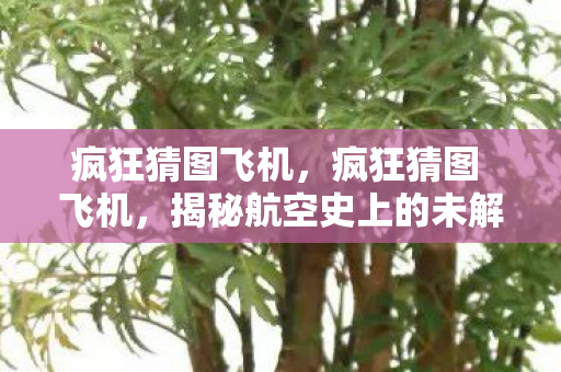 疯狂猜图飞机,疯狂猜图 飞机,揭秘航空史上的未解之谜 疯狂猜图飞机,疯狂猜图 飞机,揭秘航空史上的未解之谜