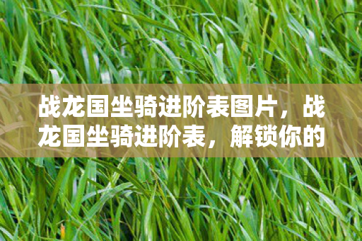 战龙国坐骑进阶表图片，战龙国坐骑进阶表，解锁你的飞行梦想