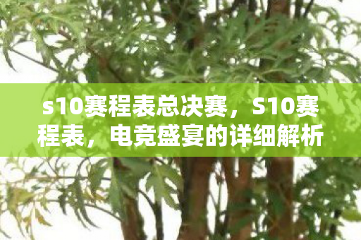 s10赛程表总决赛,S10赛程表,电竞盛宴的详细解析 s10赛程表总决赛,S10赛程表,电竞盛宴的详细解析