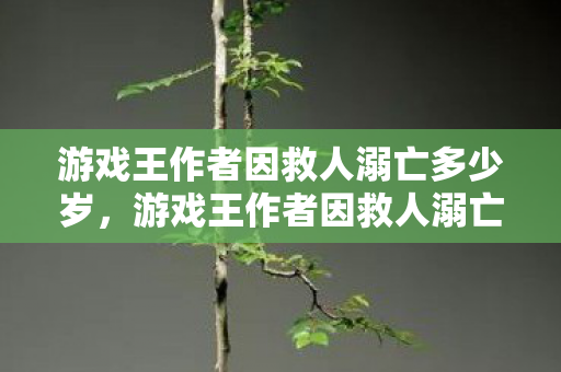游戏王作者因救人溺亡多少岁,游戏王作者因救人溺亡,英雄陨落,哀悼与致敬 游戏王作者因救人溺亡多少岁,游戏王作者因救人溺亡,英雄陨落,哀悼与致敬