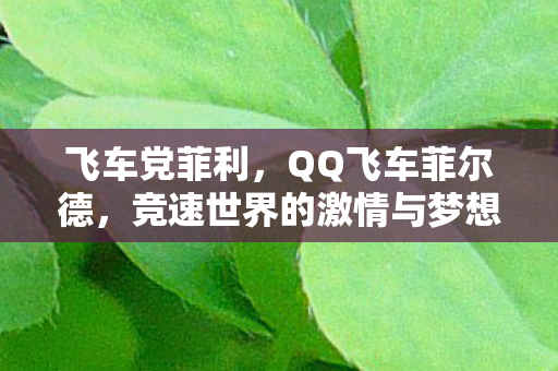 飞车党菲利,QQ飞车菲尔德,竞速世界的激情与梦想 飞车党菲利,QQ飞车菲尔德,竞速世界的激情与梦想