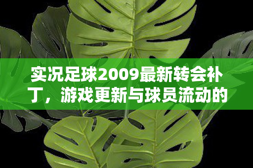 实况足球2009最新转会补丁,游戏更新与球员流动的新篇章 实况足球2009最新转会补丁,游戏更新与球员流动的新篇章
