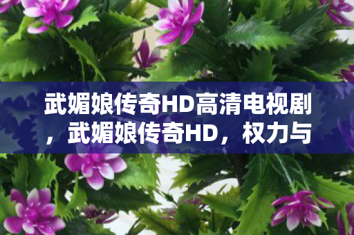 武媚娘传奇HD高清电视剧,武媚娘传奇HD,权力与智慧的双重奏响 武媚娘传奇HD高清电视剧,武媚娘传奇HD,权力与智慧的双重奏响