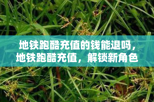 地铁跑酷充值的钱能退吗,地铁跑酷充值,解锁新角色与道具的正确方式 地铁跑酷充值的钱能退吗,地铁跑酷充值,解锁新角色与道具的正确方式