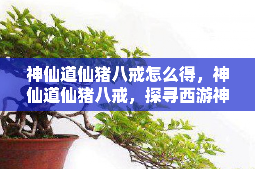 神仙道仙猪八戒怎么得,神仙道仙猪八戒,探寻西游神话中的另类英雄 神仙道仙猪八戒怎么得,神仙道仙猪八戒,探寻西游神话中的另类英雄