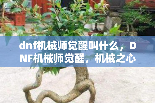 dnf机械师觉醒叫什么,DNF机械师觉醒,机械之心的觉醒与机械师的未来 dnf机械师觉醒叫什么,DNF机械师觉醒,机械之心的觉醒与机械师的未来