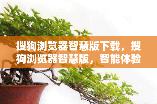 搜狗浏览器智慧版下载，搜狗浏览器智慧版，智能体验，安全浏览