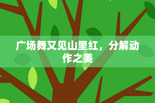 广场舞又见山里红,分解动作之美 广场舞又见山里红,分解动作之美