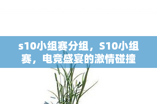 s10小组赛分组，S10小组赛，电竞盛宴的激情碰撞