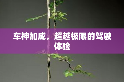 车神加成,超越极限的驾驶体验 车神加成,超越极限的驾驶体验