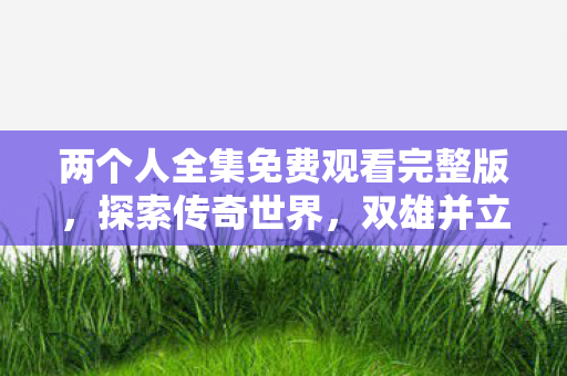 两个人全集免费观看完整版，探索传奇世界，双雄并立的激情与传奇