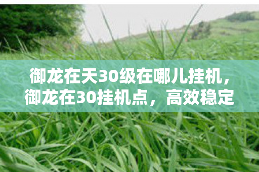 御龙在天30级在哪儿挂机,御龙在30挂机点,高效稳定的挂机体验 御龙在天30级在哪儿挂机,御龙在30挂机点,高效稳定的挂机体验