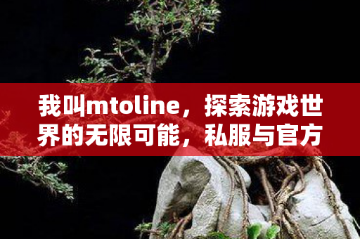 我叫mtoline，探索游戏世界的无限可能，私服与官方服务器的独特魅力