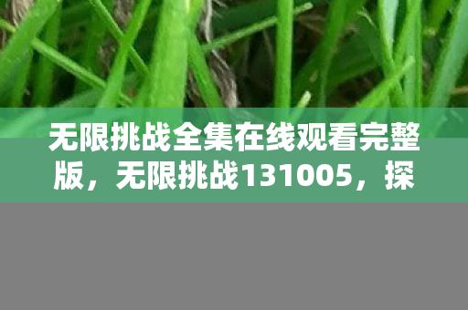 无限挑战全集在线观看完整版,无限挑战131005,探索游戏世界的无限可能 无限挑战全集在线观看完整版,无限挑战131005,探索游戏世界的无限可能