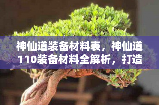 神仙道装备材料表,神仙道110装备材料全解析,打造顶级战力的关键 神仙道装备材料表,神仙道110装备材料全解析,打造顶级战力的关键
