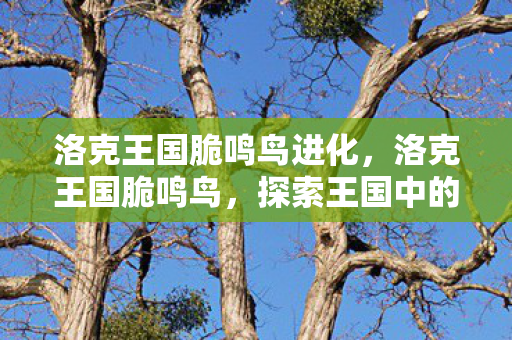 洛克王国脆鸣鸟进化,洛克王国脆鸣鸟,探索王国中的灵动旋律 洛克王国脆鸣鸟进化,洛克王国脆鸣鸟,探索王国中的灵动旋律