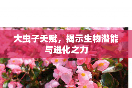 大虫子天赋,揭示生物潜能与进化之力 大虫子天赋,揭示生物潜能与进化之力
