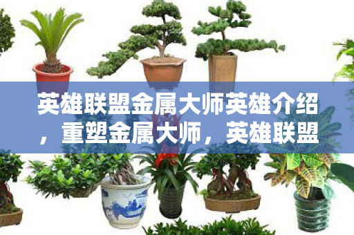 英雄联盟金属大师英雄介绍,重塑金属大师,英雄联盟中的机械美学与战术革新 英雄联盟金属大师英雄介绍,重塑金属大师,英雄联盟中的机械美学与战术革新