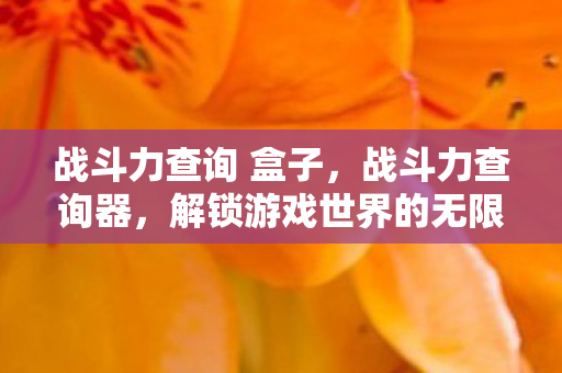 战斗力查询 盒子,战斗力查询器,解锁游戏世界的无限可能 战斗力查询 盒子,战斗力查询器,解锁游戏世界的无限可能