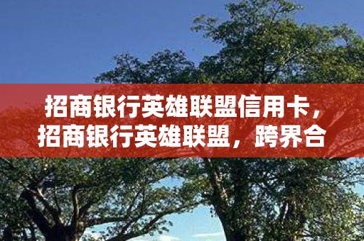 招商银行英雄联盟信用卡,招商银行英雄联盟,跨界合作引领金融与游戏新风尚 招商银行英雄联盟信用卡,招商银行英雄联盟,跨界合作引领金融与游戏新风尚