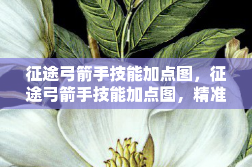 征途弓箭手技能加点图，征途弓箭手技能加点图，精准射击的奥秘