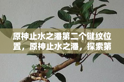 原神止水之潘第二个键纹位置，原神止水之潘，探索第二个键纹的神秘之旅