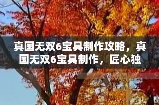真国无双6宝具制作攻略，真国无双6宝具制作，匠心独运，打造传世神兵