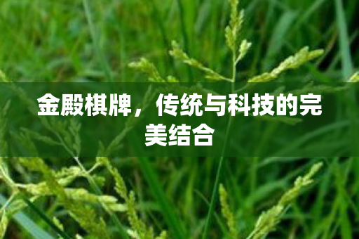金殿棋牌,传统与科技的完美结合 金殿棋牌,传统与科技的完美结合