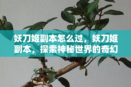 妖刀姬副本怎么过,妖刀姬副本,探索神秘世界的奇幻之旅 妖刀姬副本怎么过,妖刀姬副本,探索神秘世界的奇幻之旅