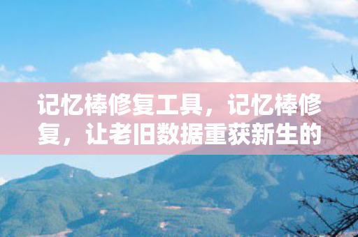 记忆棒修复工具,记忆棒修复,让老旧数据重获新生的秘密武器 记忆棒修复工具,记忆棒修复,让老旧数据重获新生的秘密武器
