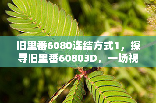 旧里番6080连结方式1,探寻旧里番60803D,一场视觉与情感的盛宴 旧里番6080连结方式1,探寻旧里番60803D,一场视觉与情感的盛宴