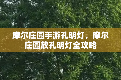 摩尔庄园手游孔明灯,摩尔庄园放孔明灯全攻略 摩尔庄园手游孔明灯,摩尔庄园放孔明灯全攻略