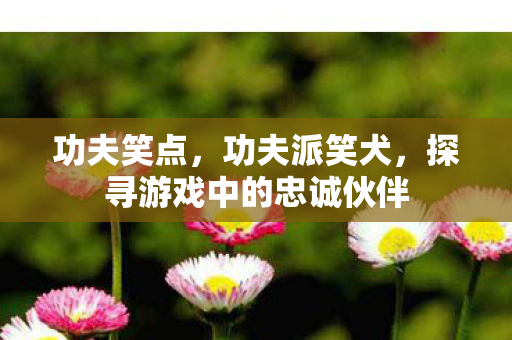 功夫笑点,功夫派笑犬,探寻游戏中的忠诚伙伴 功夫笑点,功夫派笑犬,探寻游戏中的忠诚伙伴
