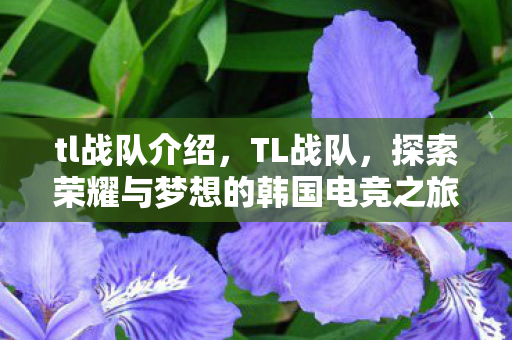 tl战队介绍,TL战队,探索荣耀与梦想的韩国电竞之旅 tl战队介绍,TL战队,探索荣耀与梦想的韩国电竞之旅