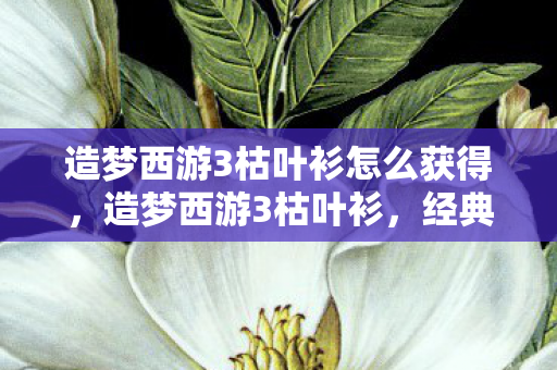 造梦西游3枯叶衫怎么获得,造梦西游3枯叶衫,经典再现,情怀依旧 造梦西游3枯叶衫怎么获得,造梦西游3枯叶衫,经典再现,情怀依旧